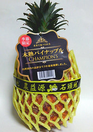 kijuku-pineapple